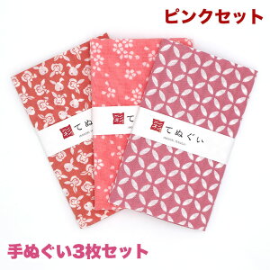 【0のつく日 24h限定 店内全品10%OFF】手ぬぐい 3枚セット ピンクセット 日本製 手拭い 剣道 和雑貨 ハンカチ タオル 綿 ラッピング 熨斗 ふきん 洗顔 粗品 彩 irodori TE-X3-001