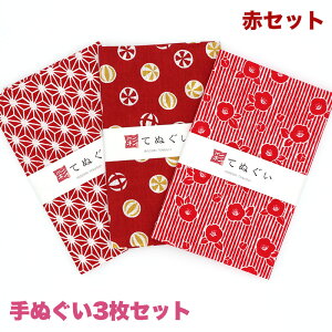 【0のつく日 24h限定 店内全品10%OFF】手ぬぐい 3枚セット 赤セット 日本製 手拭い 剣道 和雑貨 ハンカチ タオル 綿 ラッピング 熨斗 ふきん 洗顔 粗品 彩 irodori TE-X3-005
