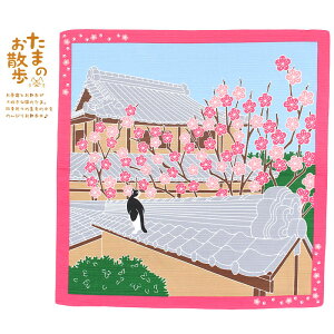 yyVX[p[Z[ X^[g4h Xő70OFF 10OFFzC~ ~ 2  ܂̂U t ~ L ˂ 50×50cm MSTO-002