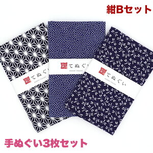 【0のつく日 24h限定 店内全品10%OFF】手ぬぐい 3枚セット 紺Bセット 日本製 手拭い 剣道 和雑貨 ハンカチ タオル 綿 ラッピング 熨斗 ふきん 洗顔 粗品 彩 irodori TE-X3-017