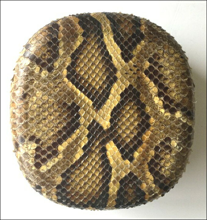 楽天市場】三線 チーガ 胴 本蛇皮強化張り 盛島開鐘タイプ : 三線職人 