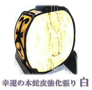 O { K^̖{֔狭F ^ǌ^ h X^_[hZbg Eۏ O֘AĩIvVL