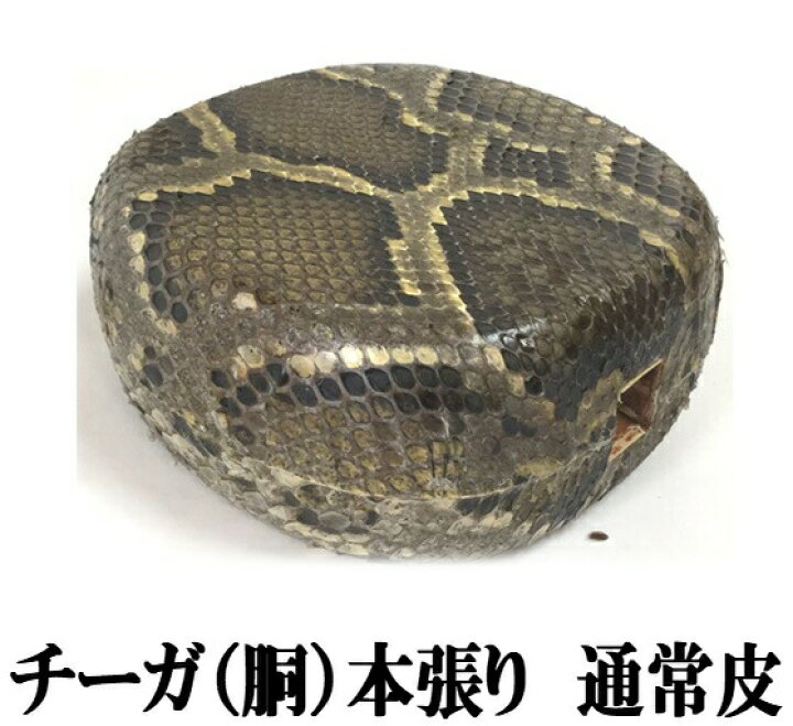 楽天市場】三線 チーガ 胴 本張り 本蛇皮一枚張り 大特価 激安 : 三線 