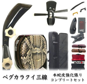三線 ペグカラクイ三線 真壁型 黒塗り 本蛇皮強化張り 初心者用コンプリートフルセット 安心の5年保証+買取・下取り保証 三線関連品のオプションあり カラクイの悩み不要