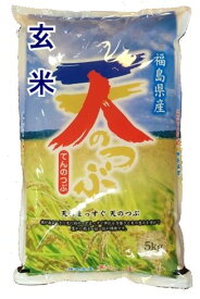 福島県産天のつぶ玄米 5kg石抜き処理済令和5年産「ふくしまプライド。体感キャンペーン」