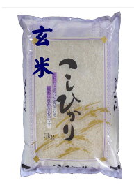 令和5年産会津コシヒカリ玄米5kg[石抜き処理済]「ふくしまプライド。体感キャンペーン」