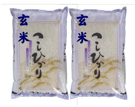 【令和5年産】会津コシヒカリ［玄米］10kg(5kg×2袋) [石抜き処理済]