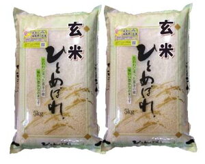 yߘa6NYzÎYЂƂ߂ڂmān10kgi5kg×2܁j[Δ]
