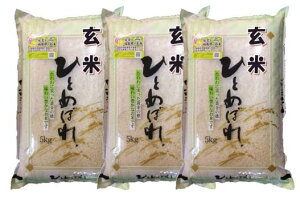 yߘa6NYzÎYЂƂ߂ڂmān15kgi5kg×3܁j[Δ]