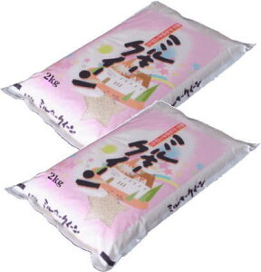 yߘa7NYzY~L[NC[mān4kgi2kg×2܁j