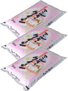 yߘa7NYzY~L[NC[mʐān6kgi2kg×3܁j