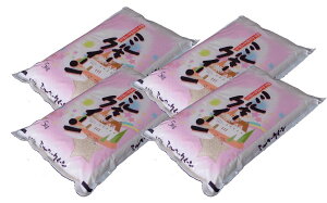 yߘa7NYzY~L[NC[wāx20kgi5kg×4܁j