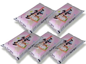 yߘa7NYzY~L[NB[25kgmʐān( 5kg×5)