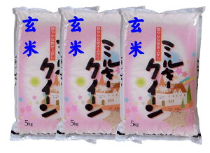 yߘa7NYzY~L[NC[mān15kgi5kg×3܁j[Δ]