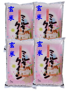 yߘa7NYzY~L[NC[mān20kgi5kg×4܁j[Δ]