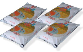福島県田村産 白米 チヨニシキ 20kg(5kg×4袋) 令和5年産「ふくしまプライド。体感キャンペーン」