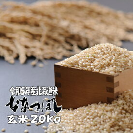令和5年産　玄米　20kg　ななつぼし 5kg×4　北海道　送料無料