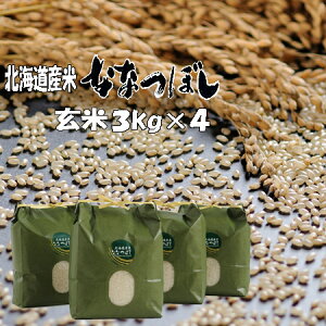 �y�V�āz�ߘa7�N�Y�@���ā@12kg�@�ȂȂڂ� 3kg×4�@�k�C���@��������