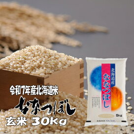 楽天市場】令和7年産 玄米 30kg ななつぼし 北海道 送料無料 精米 