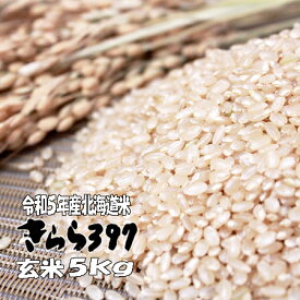 令和5年産　玄米　5kg　きらら397　北海道米　送料無料