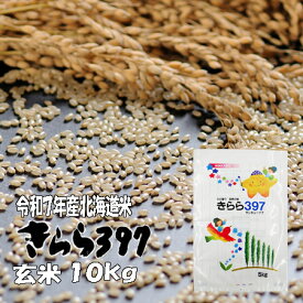 令和7年産　玄米　10kg　きらら397　 5kg×2　北海道　送料無料