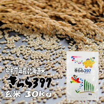楽天市場】きらら397 5kgの通販