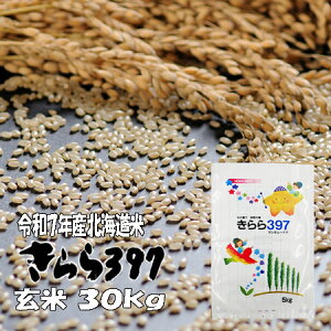 yVāzߘa7NY@ā@30kg@397@kC@@Ė