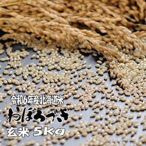 令和6年産 玄米 5kg おぼろづき 5kg 北海道 送料無料