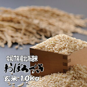 yVāzߘa7NY@ā@10kg@ڂÂ 5kg×2@kC@