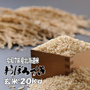 yVāzߘa7NY@ā@20kg@ڂÂ 5kg×4@kC@