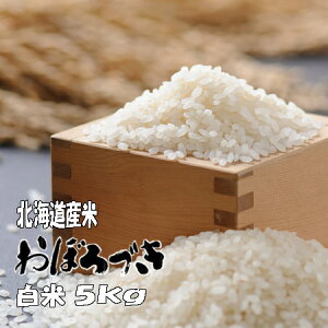 yVāzߘa7NY@ā@5kg@ڂÂ 5kg@kCY@@yMt_̂@yMt_̂