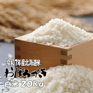 yVāzߘa7NY@ā@20kg@ڂÂ 5kg×4@kC@