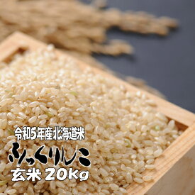 令和5年産　玄米　20kg　ふっくりんこ 5kg×4　北海道　送料無料