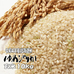 新米4年産　北海道産ゆめぴりか玄米10kg（5kg×2）　送料無料　北海道米
