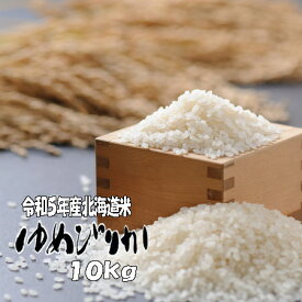 令和5年産　白米　10kg　ゆめぴりか 5kg×2　北海道　送料無料【楽ギフ_のし】【楽ギフ_のし宛書】