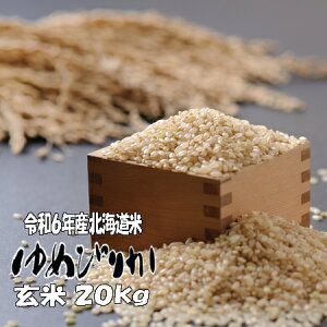 ߘa6NY@ā@20kg@߂҂肩 5kg×4@kC@