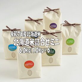 詰合せ　令和7年産　北海道米詰合せミニ 1,0kg×6袋　北海道米　送料無料