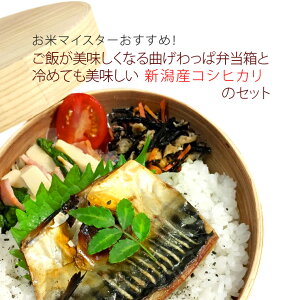 тȂIȂϕٓƗ߂ĂVYRVqJ300g̃Zbg 