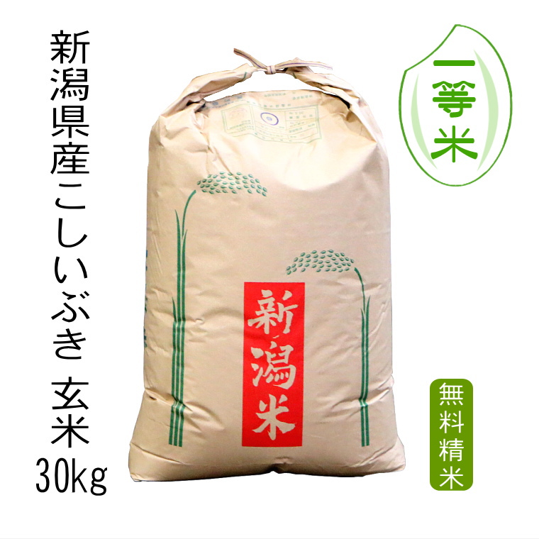 【 一等米 】新潟県産 こしいぶき （ 令和5年産 ）玄米 30kg 【 精米 無料 】【 送料無料 】：米屋おおくら店