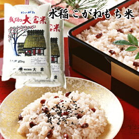 もち米 新潟県産 こがねもち（ 令和5年産 ） 10kg （5kg×2袋）【 送料無料 】