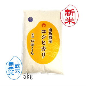 新米 無洗米 ( 乾式 )( 南魚沼産 ) 魚沼産 コシヒカリ ( 令和7年産 ) 5kg 【 送料無料 】