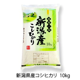 新潟県産 コシヒカリ（ 令和5年産 ） 10kg （10kg×1袋） 3等米 【 送料無料 】
