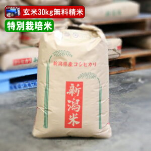 �V���������Y �R�V�q�J�� ����30kg ���ʍ͔|�� �ߘa7�N�Y �������� �P�ꌴ���� �����Ђ��� ���� 30�L��