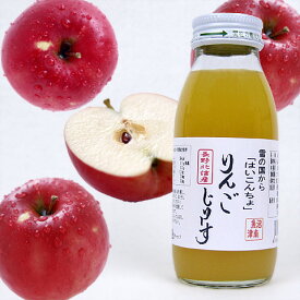 りんごジュース（200ml）20本入【送料込み】【同梱不可商品】