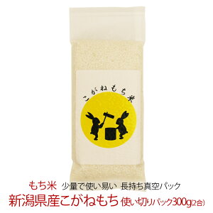  VY ˂ g؂pbN300gi2jiߘa7NYj  ͂ ڂ Ԕ  Ԕ ߘa7N  V    Mtg v[g j 蕨 H