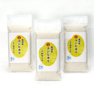 新米 無洗米(乾式) 特選 魚沼産 コシヒカリ 使い切りパック300g(約2合)3パック (令和7年産) 【ネコポスお届け】 送料無料※同梱不可令和7年 米 新潟県 お米 白米 新潟県産コシヒカリ こ