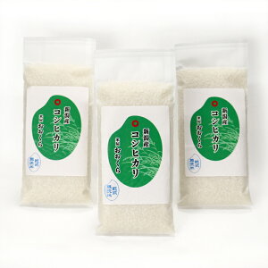 新米 無洗米(乾式) 新潟県産 コシヒカリ 使い切りパック300g(約2合) 3パック (令和7年産) 【ネコポスお届け】 送料無料 ※同梱不可