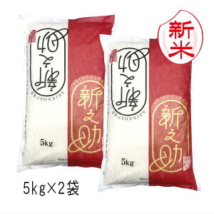 新米 新之助 新潟米( 令和7年産 ) 10kg (5kg×2袋)【 送料無料 】