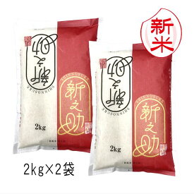 新米予約 新之助 新潟米（ 令和8年産 ） 4kg （2kg×2袋）【 送料無料 】10月上旬頃発送開始予定（10/1（木）頃目安）