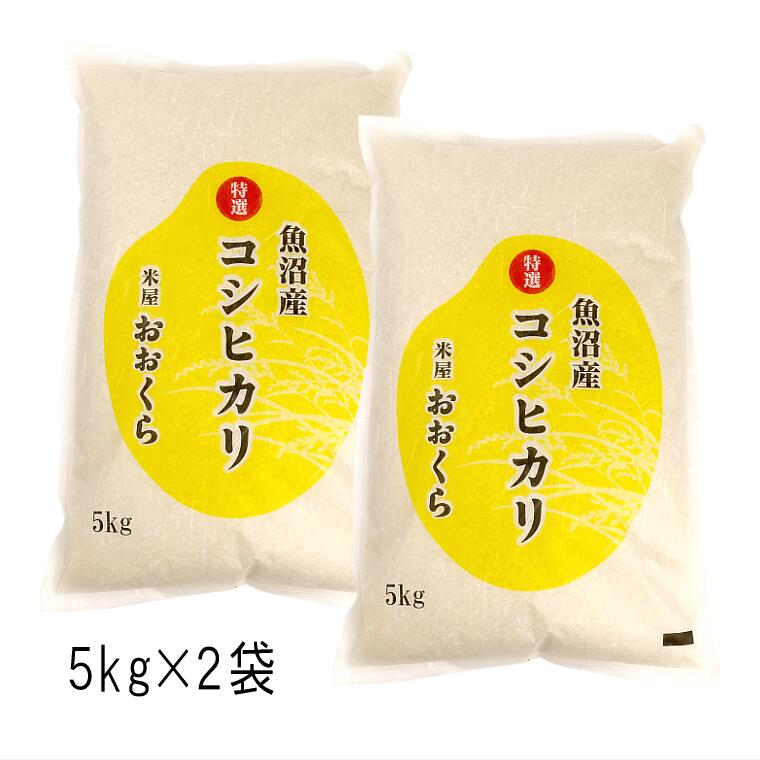 お米 10kg 魚沼産 コシヒカリ （ 特選 ）（ 令和5年産 ） 10kg （5kg×2袋）